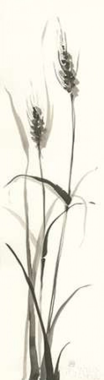 Wild Grass I Poster Print by Chris Paschke - Item # VARPDX28393